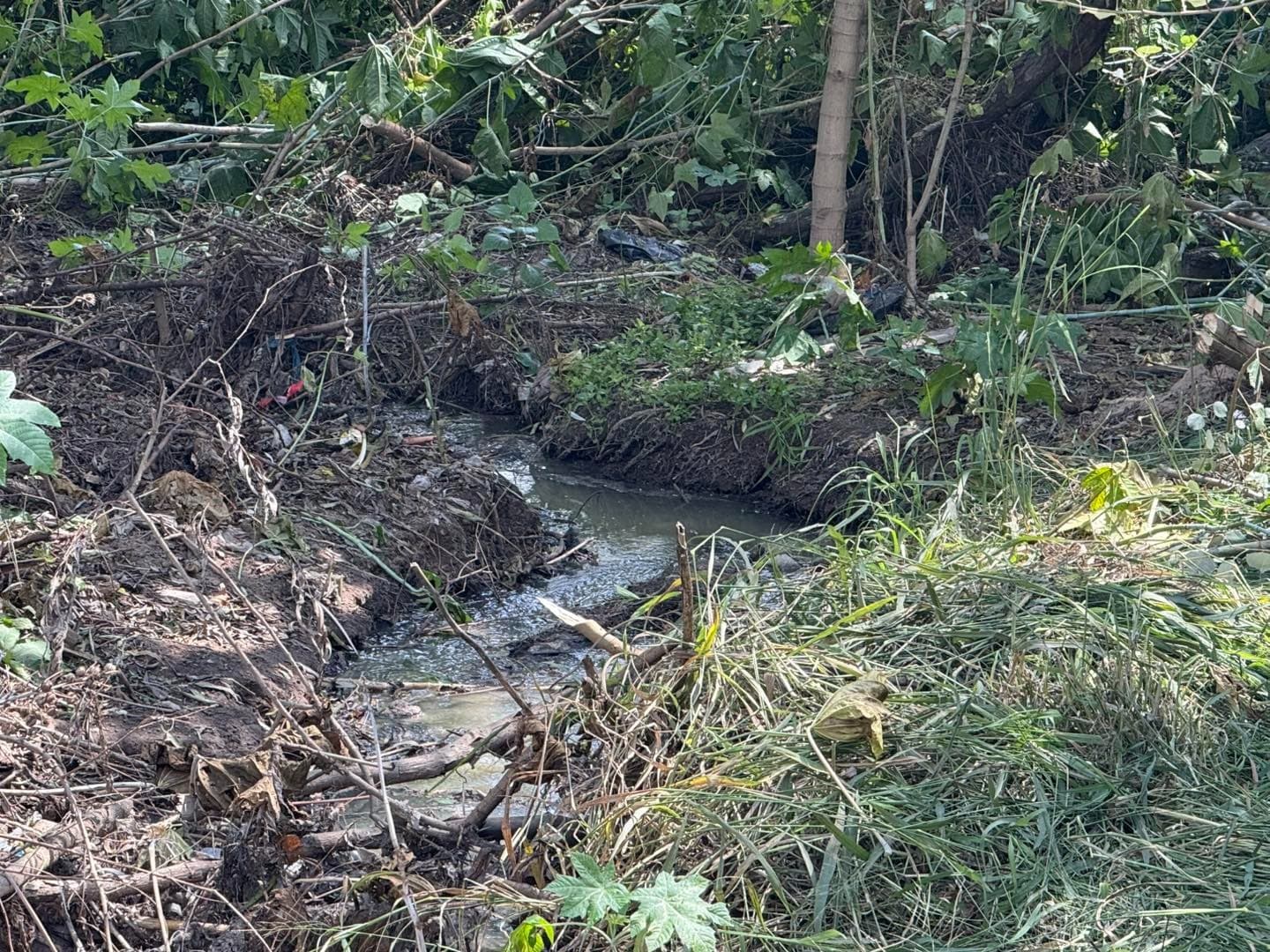 Analiza CONAGUA afectaciones en cuerpos de agua tras descarga de deshechos