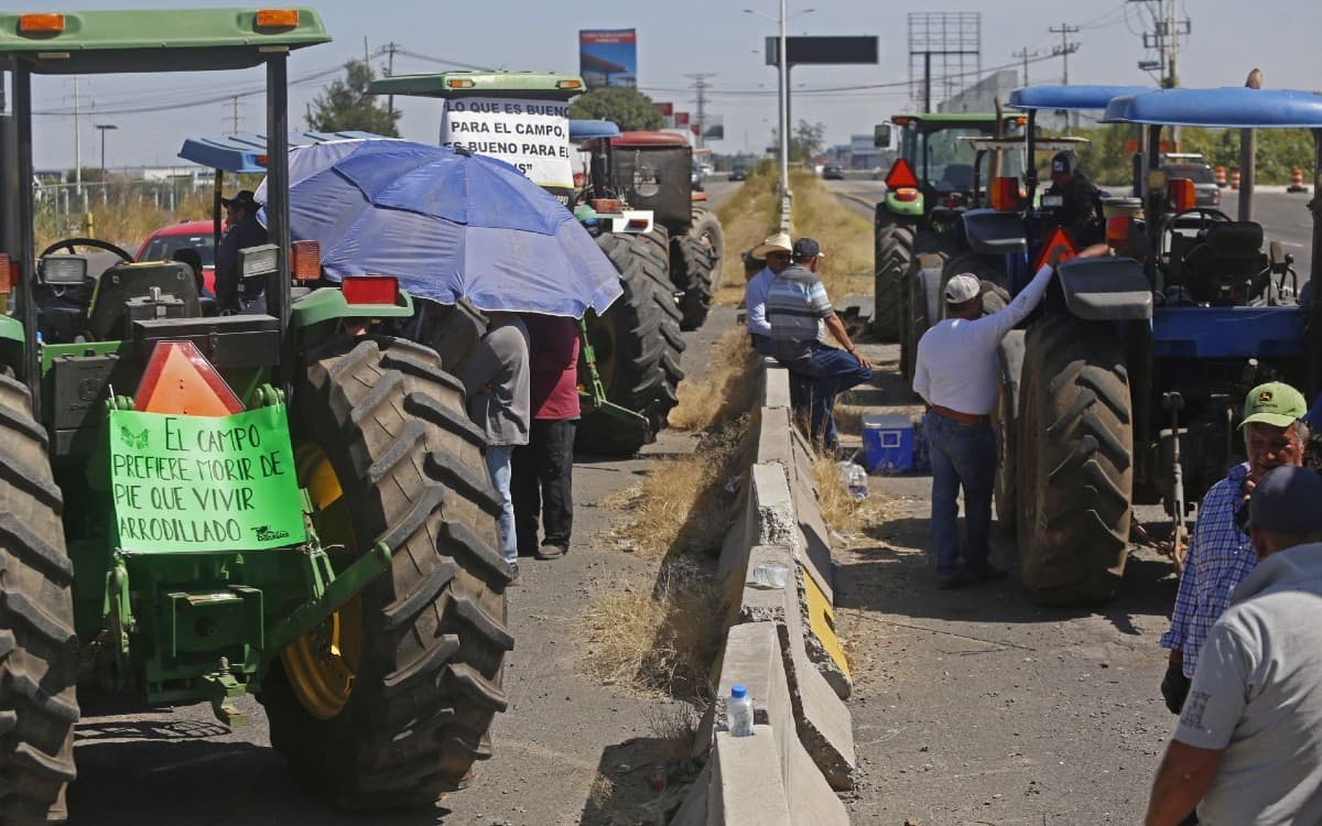 Indigna a agricultores precio por tonelada de maíz propuesto por Gobierno de México