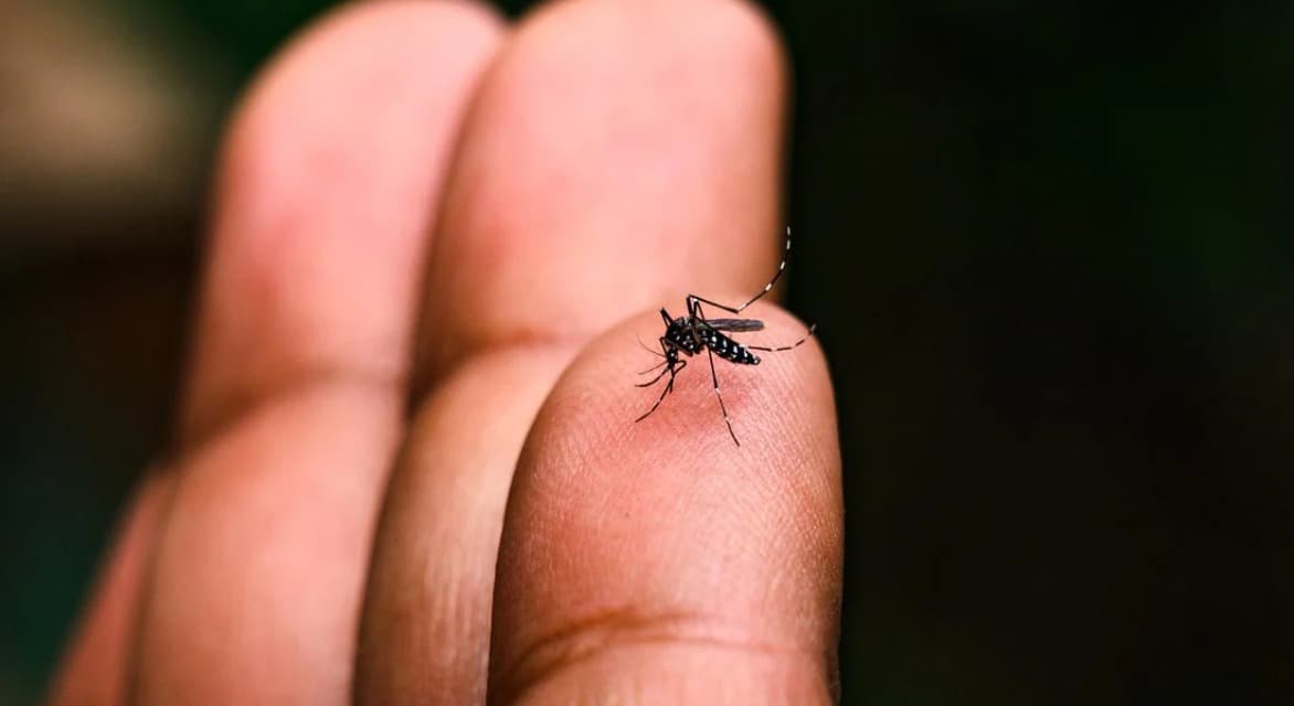 Supera SLP los 600 casos de dengue