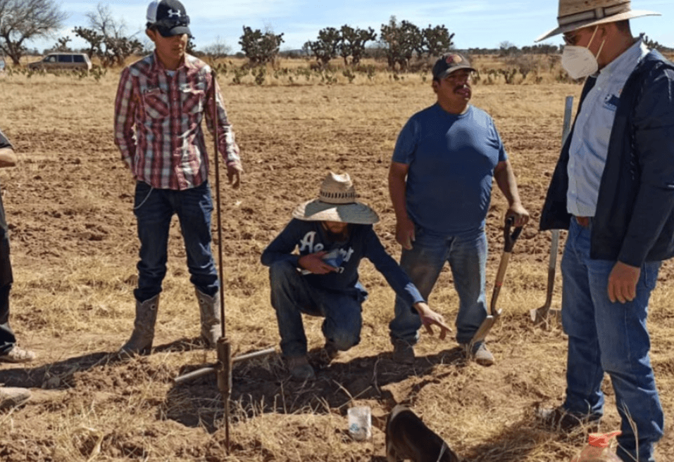 Se desploma 10% el sector agropecuario en el estado según INEGI