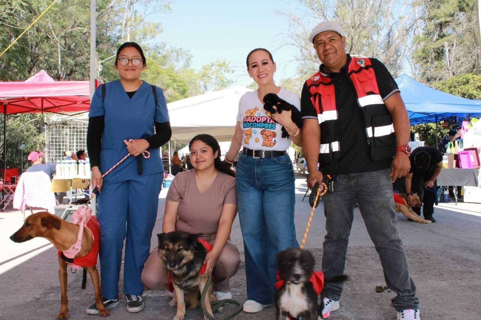 Garantizan obras y servicios por el bienestar animal