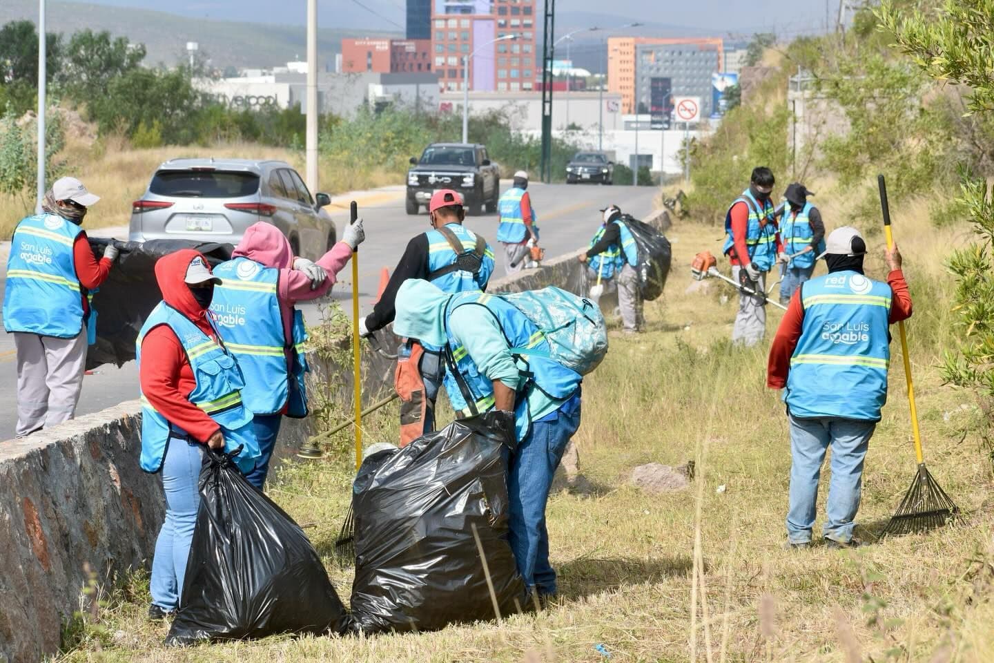 Avanzan trabajos de limpieza en camellones y áreas verdes de la Capital