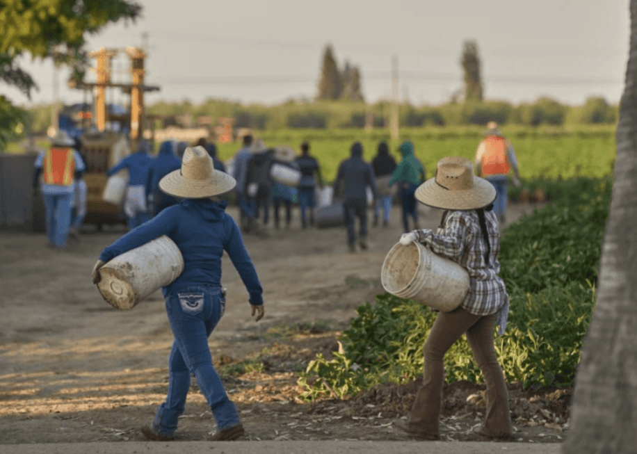 Destapa Forbes incoherencia de Trump al contratar 184 migrantes en sus empresas