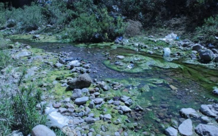 Investigan posibles descargas irregulares en el Río Paisanos