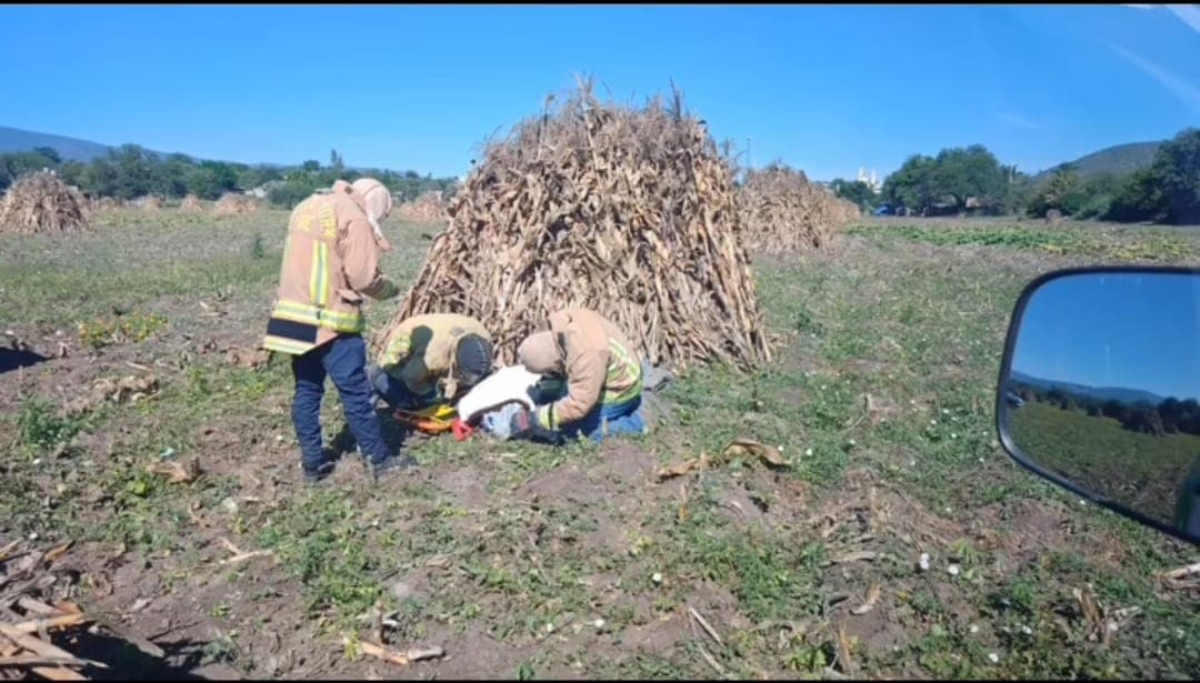 Sobrevive abuelito de 97 años a ataque de abejas en San Ciro de Acosta
