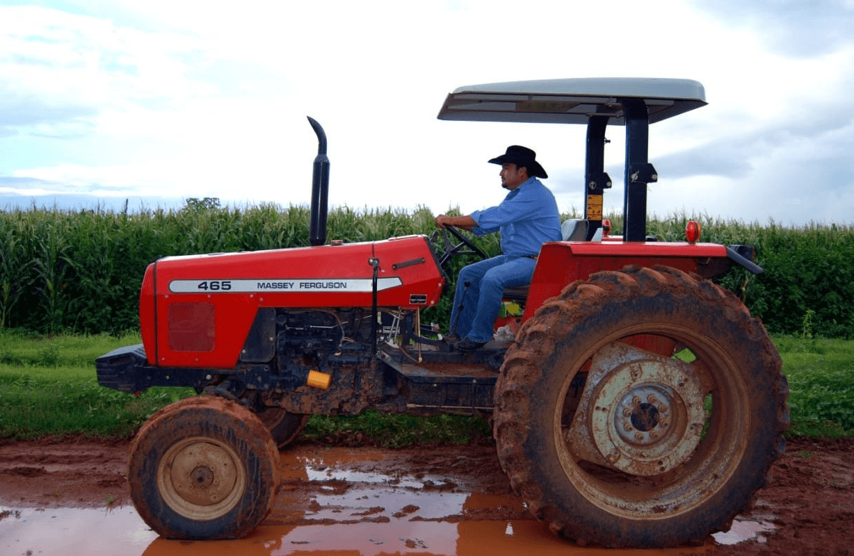 Apoyará Trump a agricultores estadounidenses con 12 mil millones de dólares