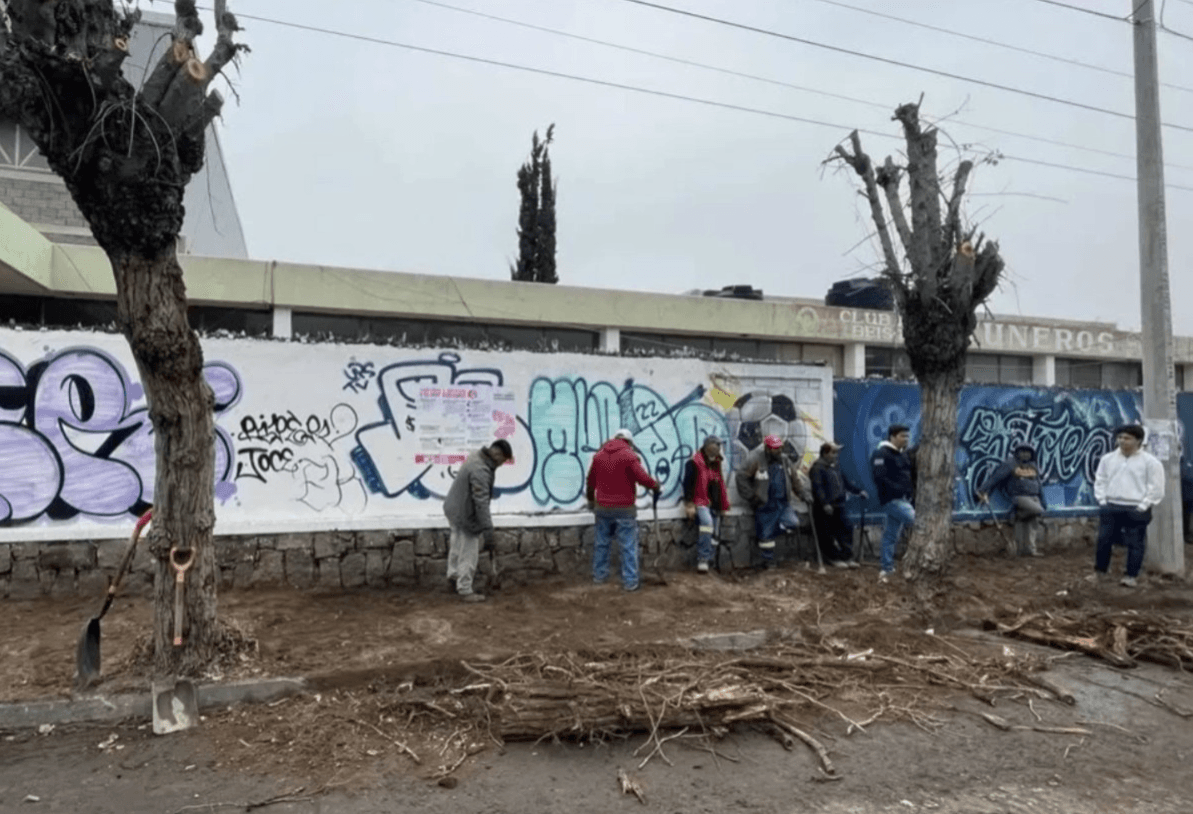Realizan poda de árboles en Coronel Romero como estrategia de seguridad
