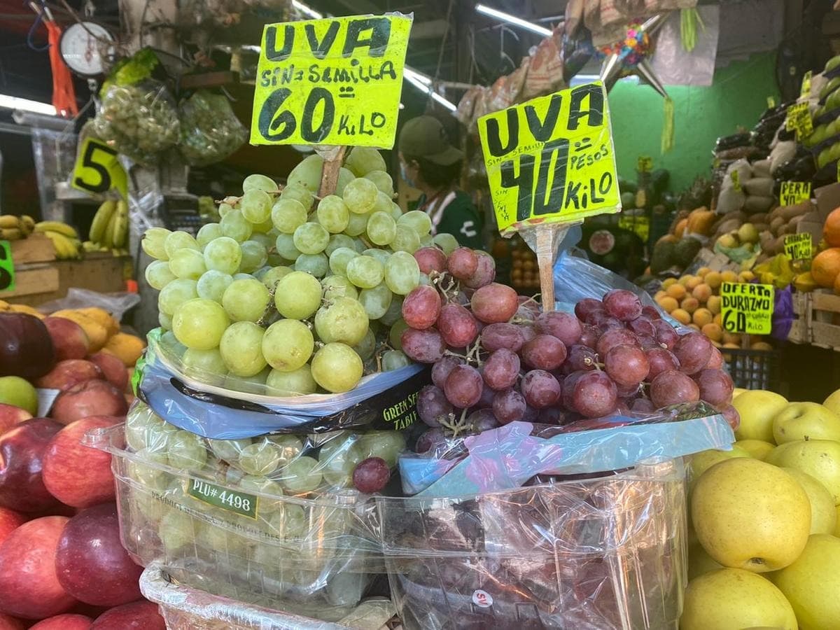 Aumenta un 33% el precio de la uva para el cierre de año en San Luis Potosí