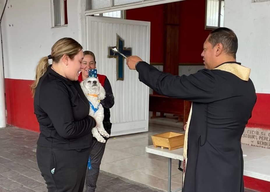 Potosinos bendicen a sus mascotas