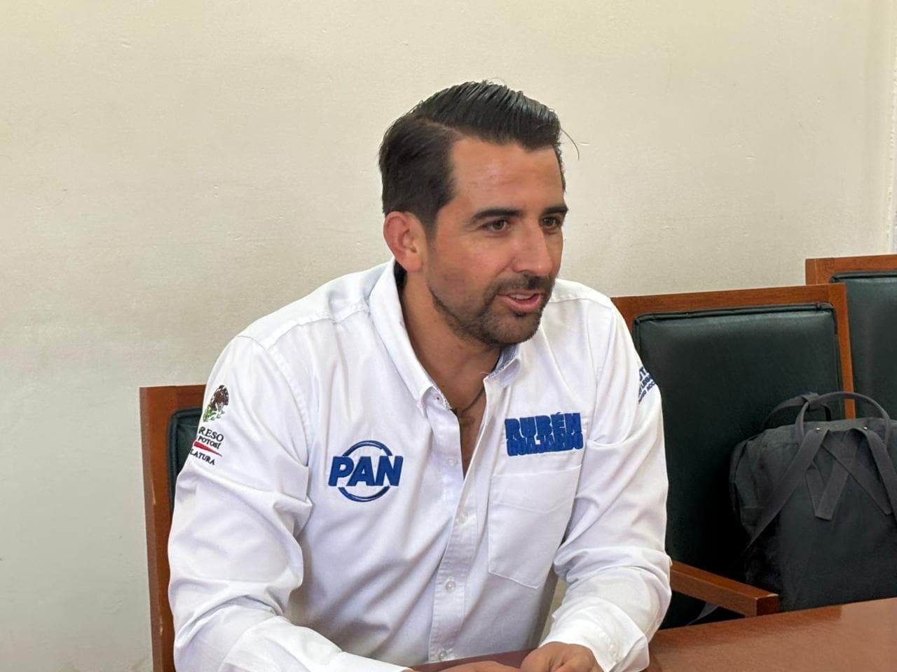 El PAN cuidará la legalidad y pluralidad por Reforma Electoral: Guajardo