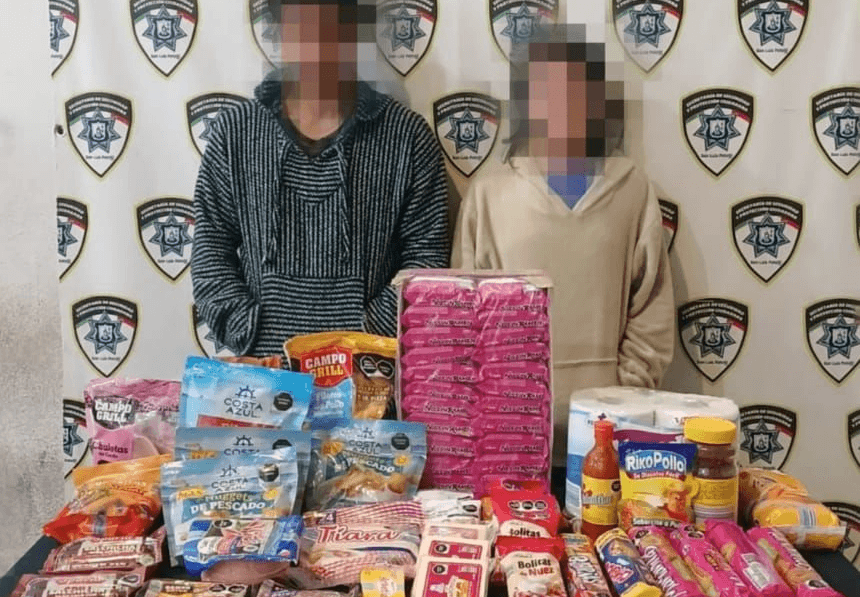 Pareja de ratas intentaron hacer su despensa en el 3B