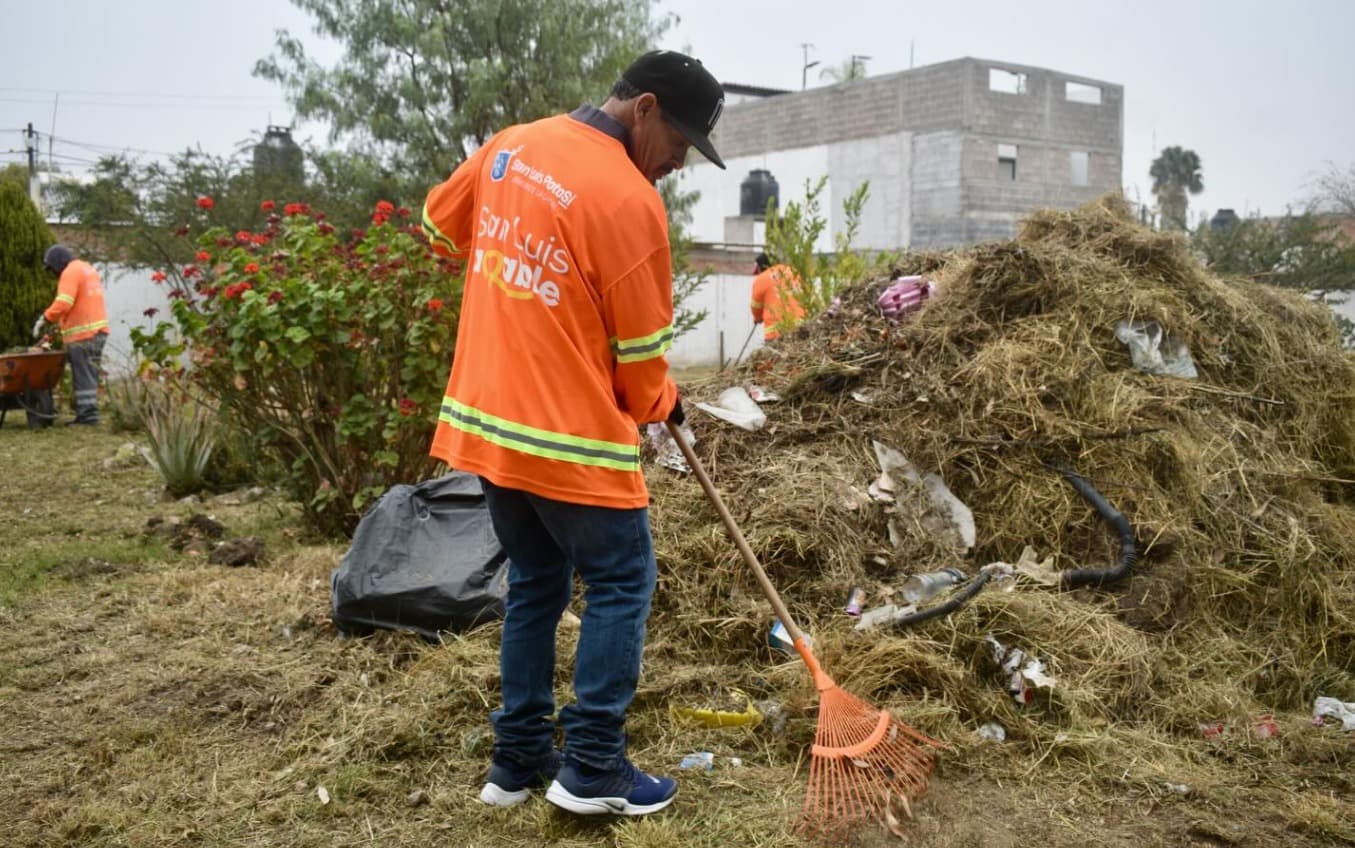 Sigue la limpieza en áreas verdes de la Capital