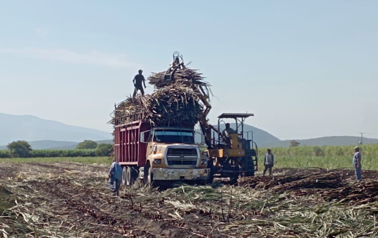 Déficit de karbe alertan a azucareros de la Huasteca