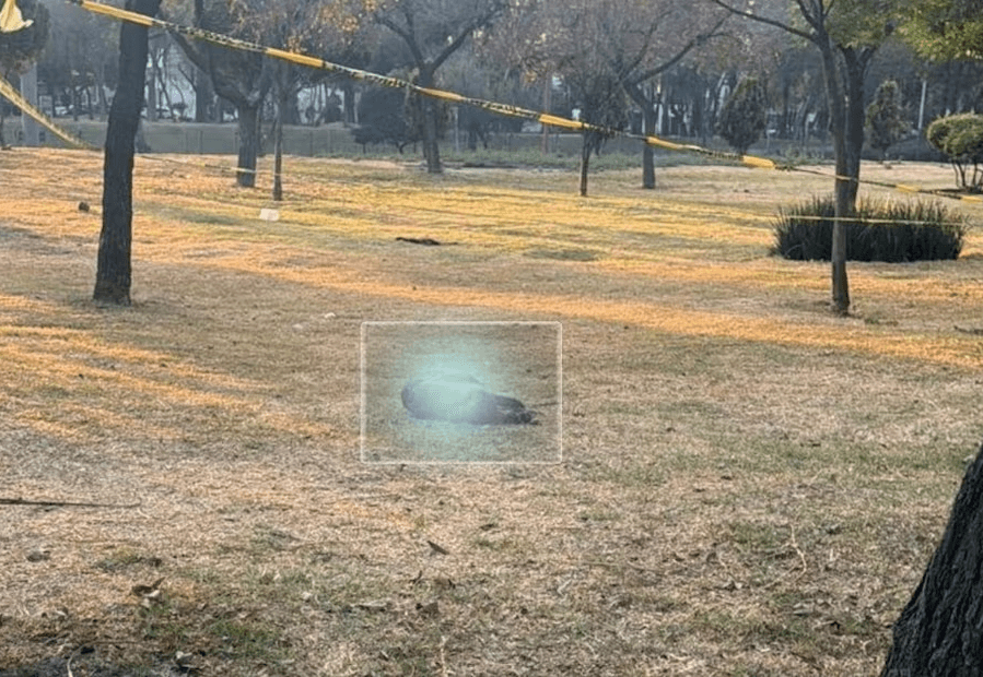 Detienen a un loco descuartizando a un perrito en la calle