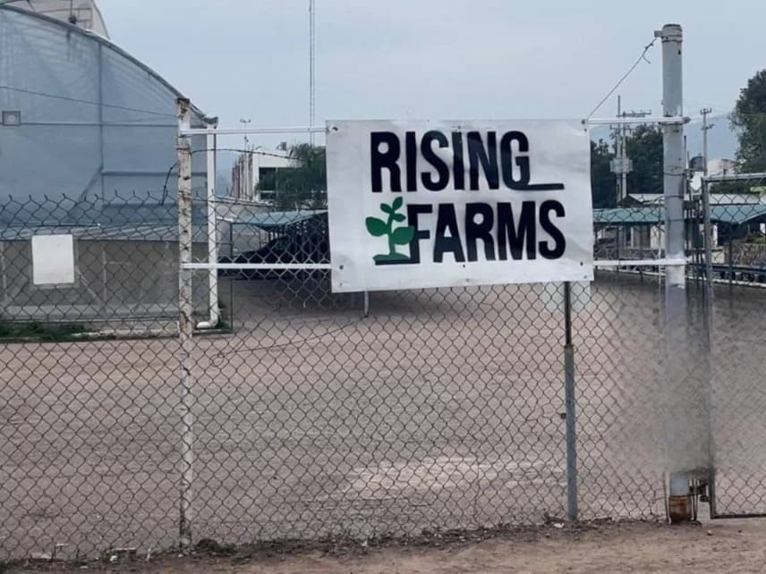 Quiebra Invernadero Rising Farms en Ciudad Fernández