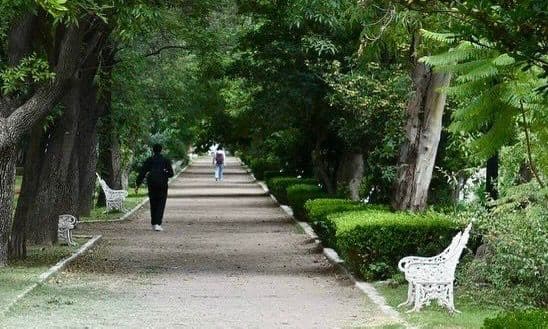 Dan apoyo médico a menor tras incidente en Parque de Morales