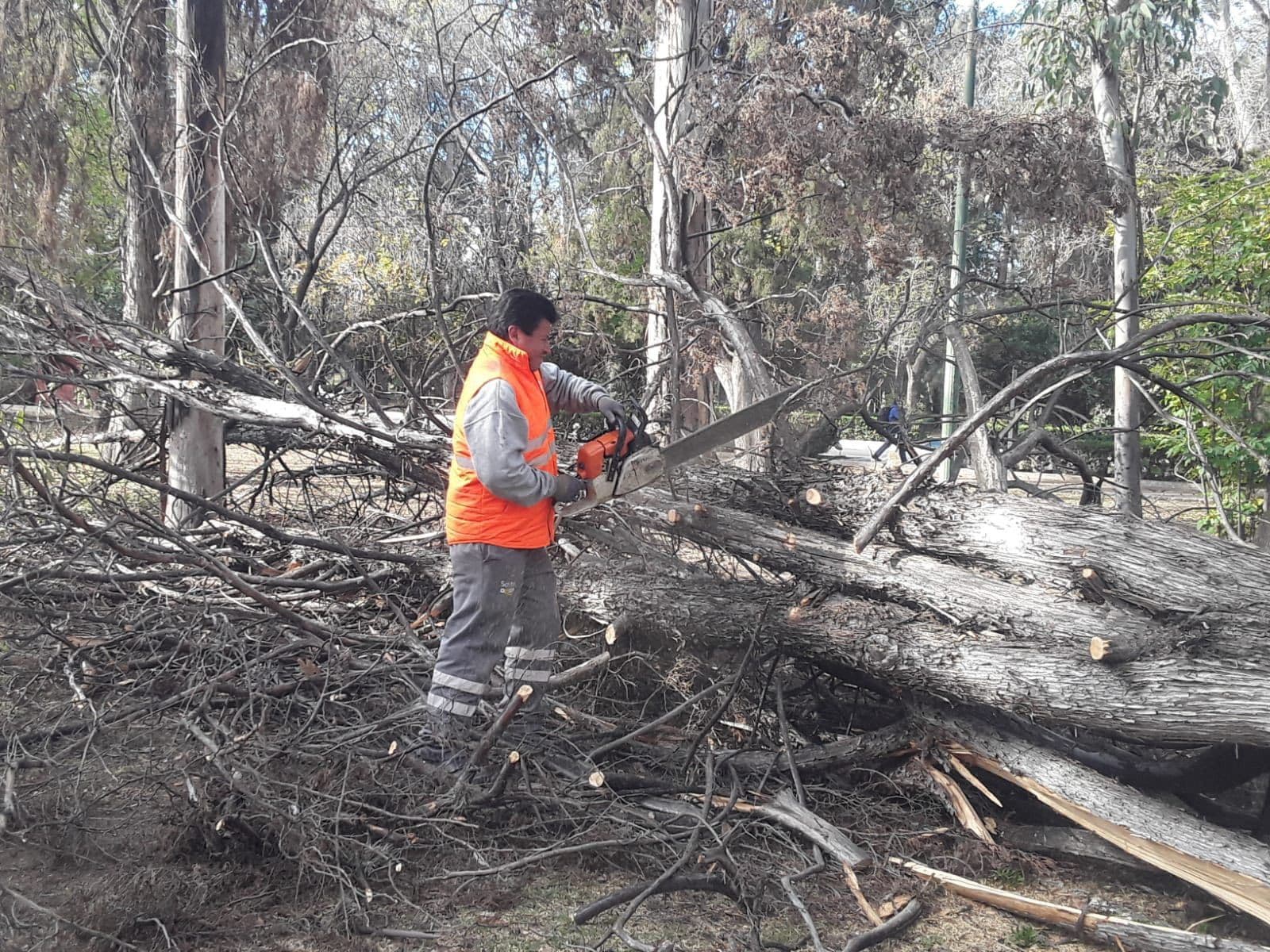 Refuerzan mantenimiento al Parque de Morales