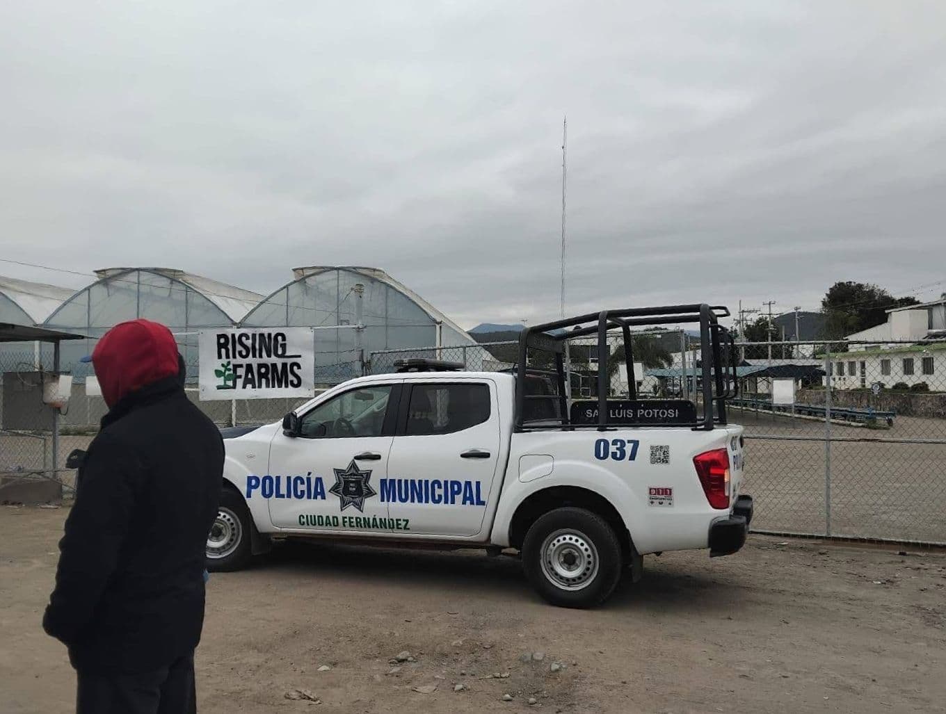 300 trabajadores de Rising Farms en incertidumbre laboral