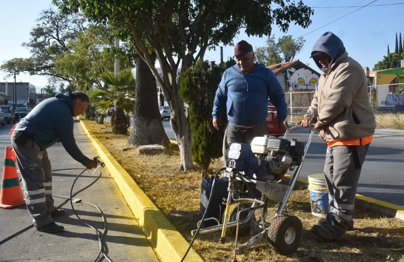 Dan manita de gato a señalética vial y guarniciones en la Capital