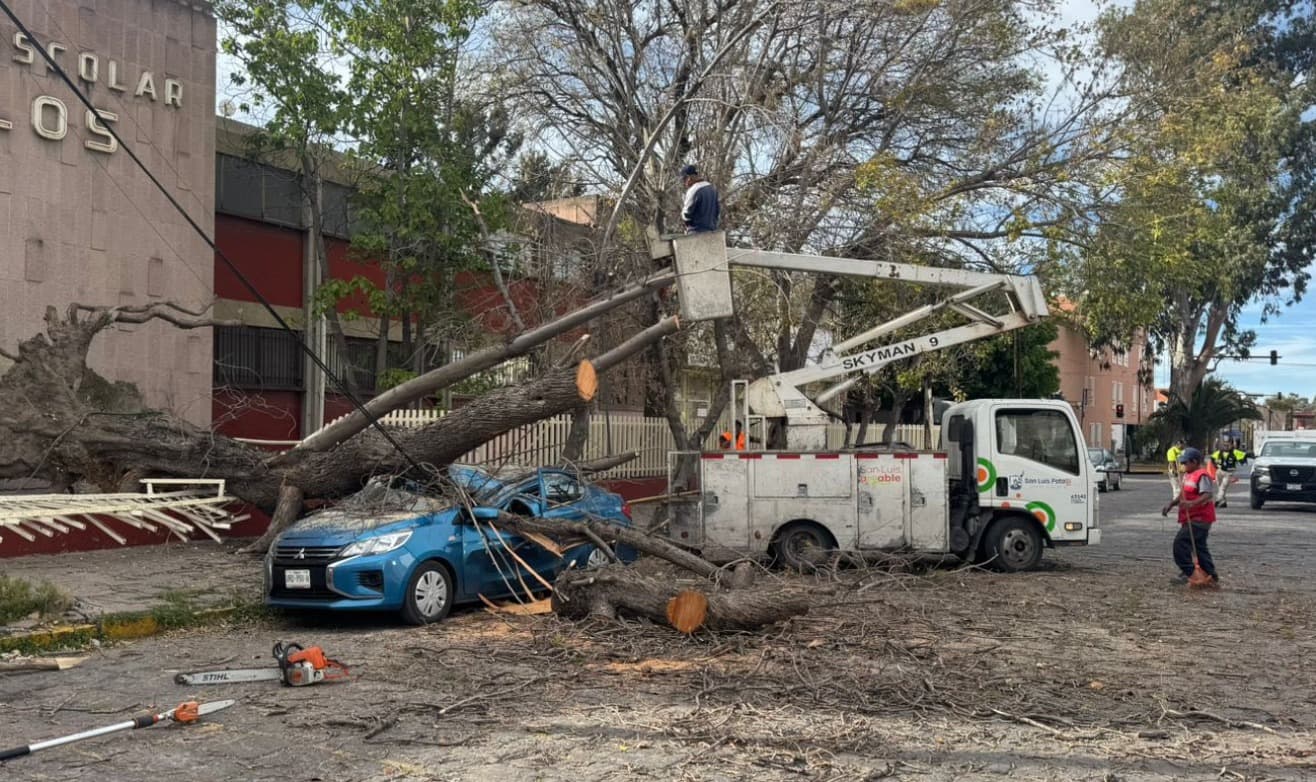 Intensifican operativos tras fuertes vientos en la Capital