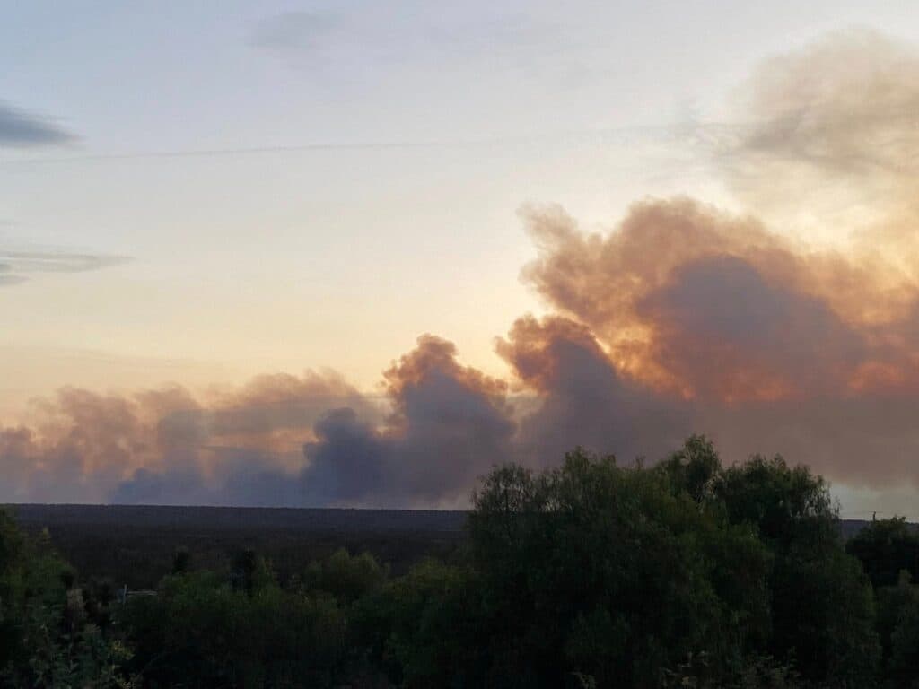 Incendio consume hectáreas en Santo Domingo