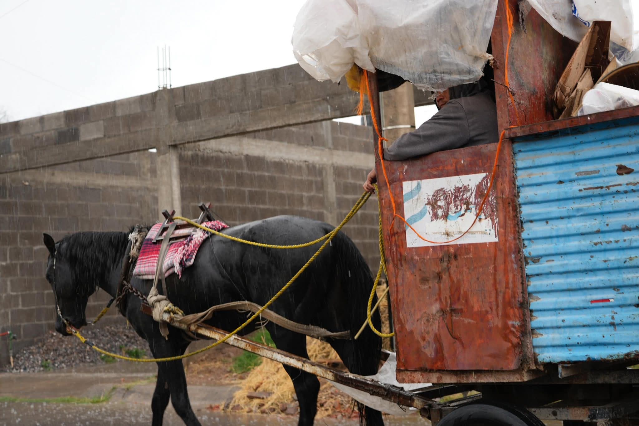 Eliminan permisos para carretoneros en pro del bienestar animal