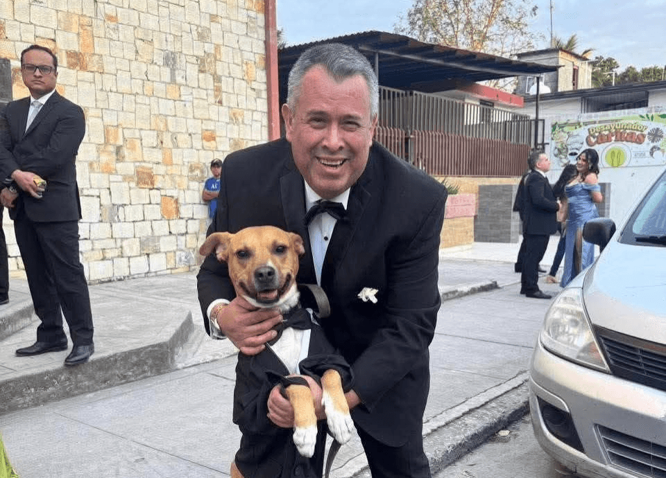 Lleva empresario a perrito rescatado como invitado especial a una boda