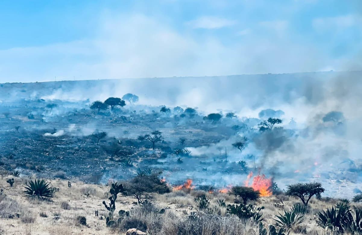 Afectan incendios a más de 16 mil hectáreas en SLP