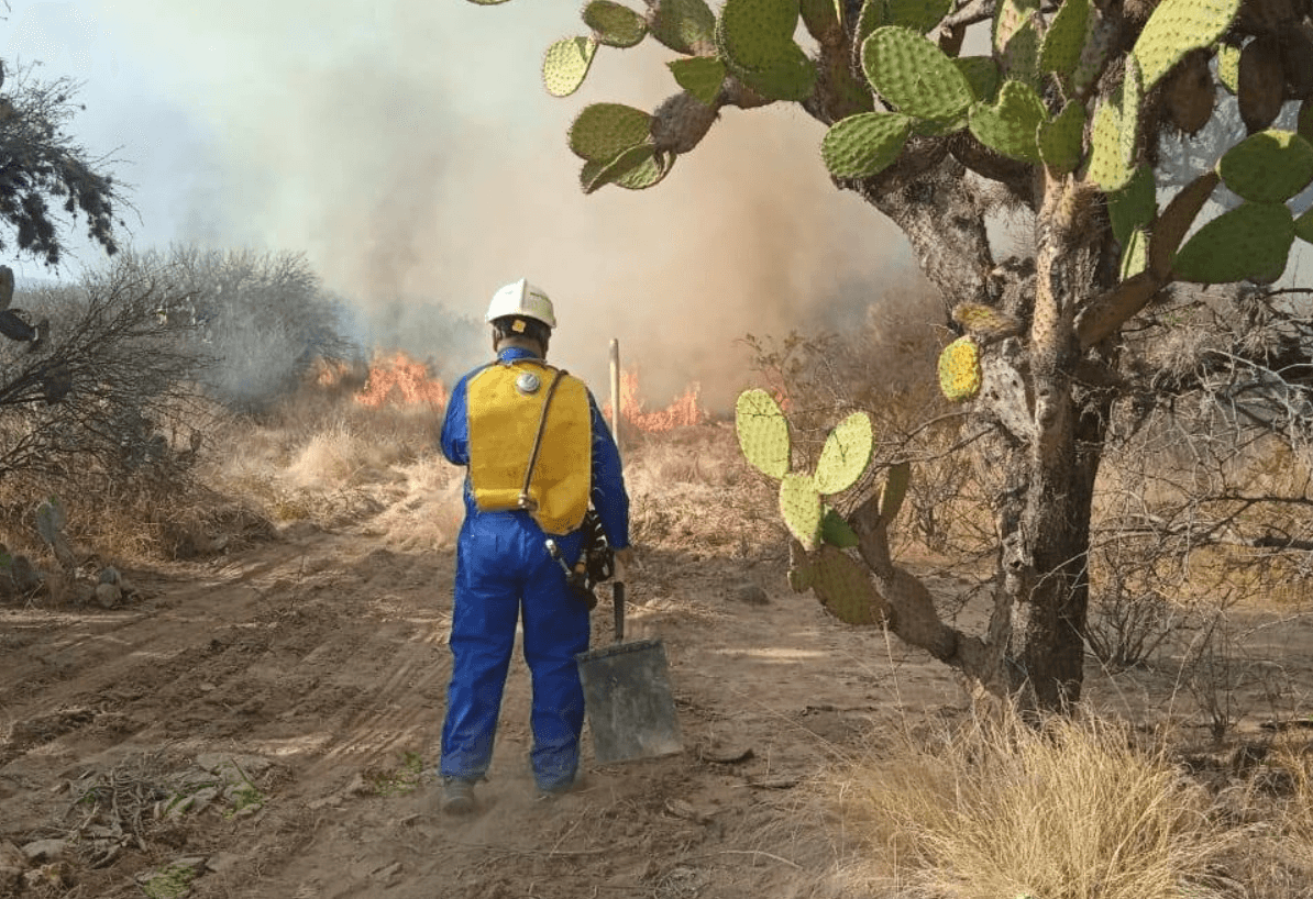 Padecen Charcas, Moctezuma y Mexquitic mayores afectaciones por incendios