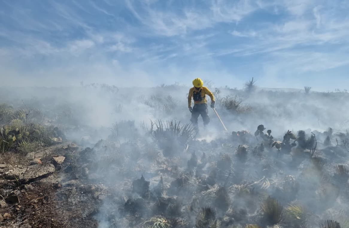 Pirómano causaba incendios forestales en Ahualulco