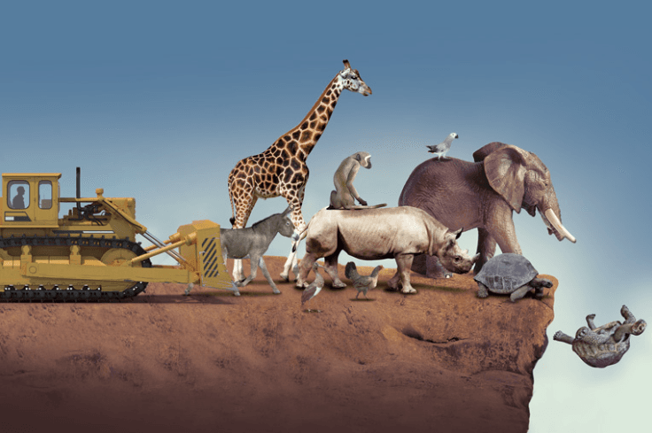 Declaran extintas a 44 especies en 2025