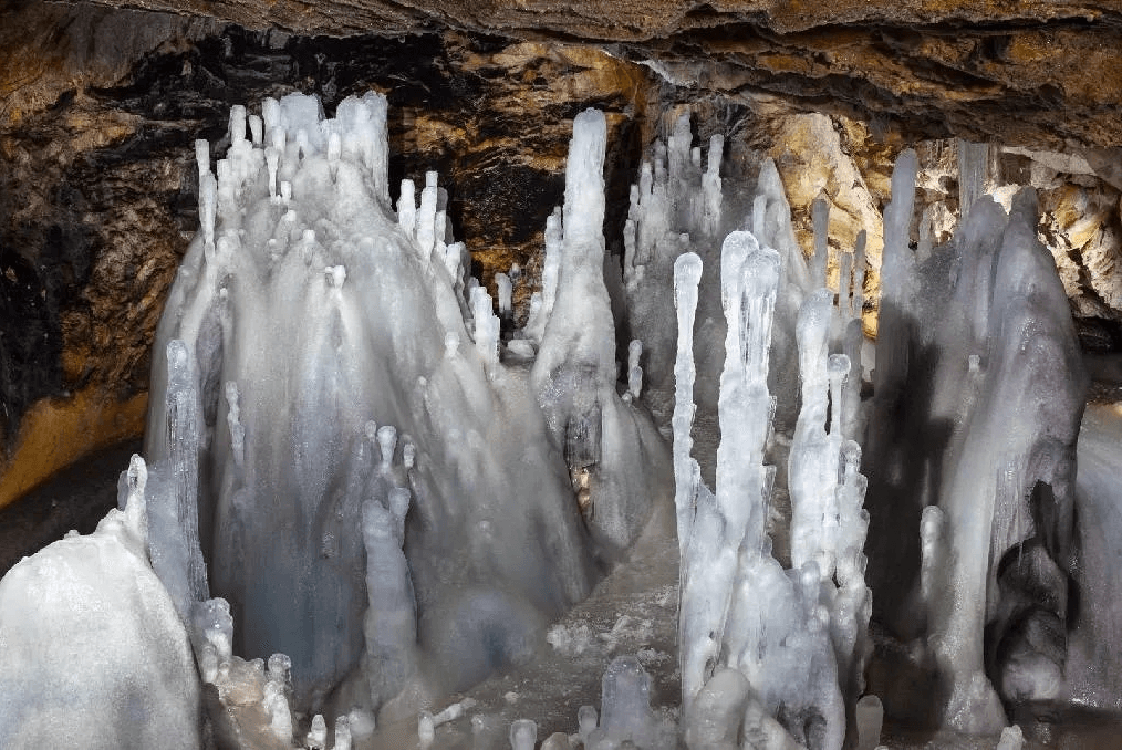 Encuentran super bacteria de más de 5 mil años en una cueva