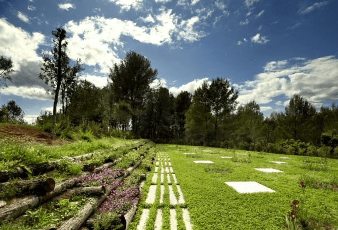 Buscan crear panteones ecológicos en Edomex ante falta de espacio