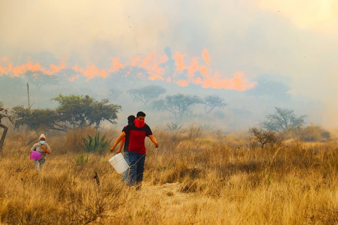 La mayoría de los incendios son provocados por humanos: agroecólogo