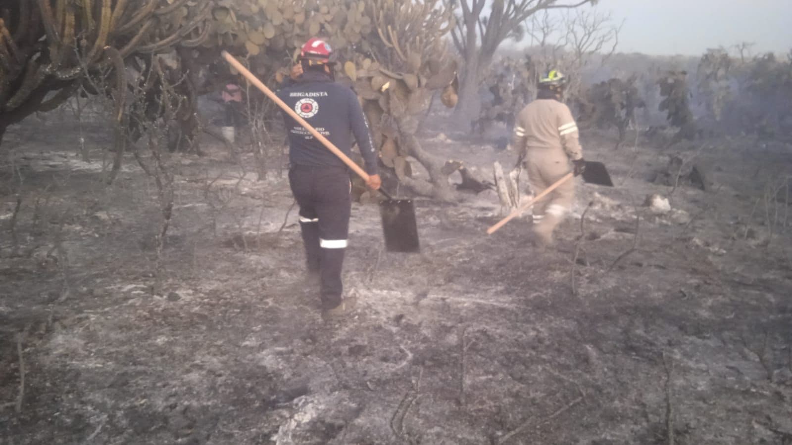 Ayuda la Capital en combate a incendios en Mexquitic