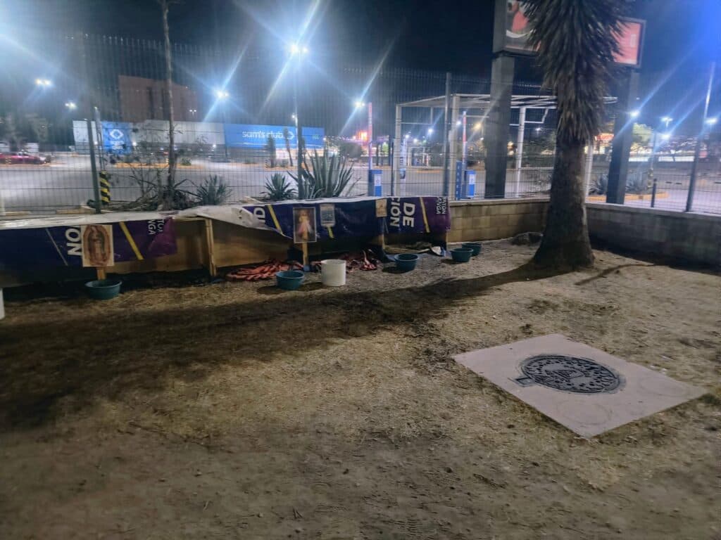 Alertan sobre desaparición de perritos comunitarios en Salvador Nava