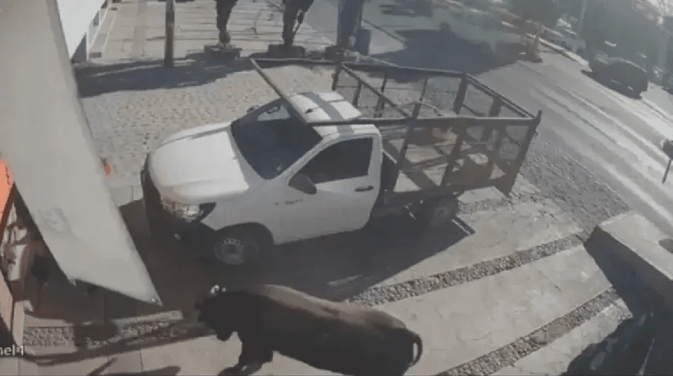 Toro se escapa y embiste a familia en Querétaro