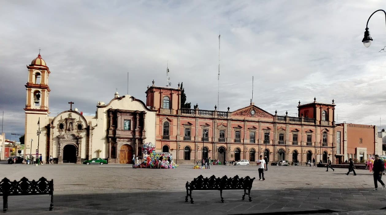 En análisis arbolado en Plaza de Fundadores