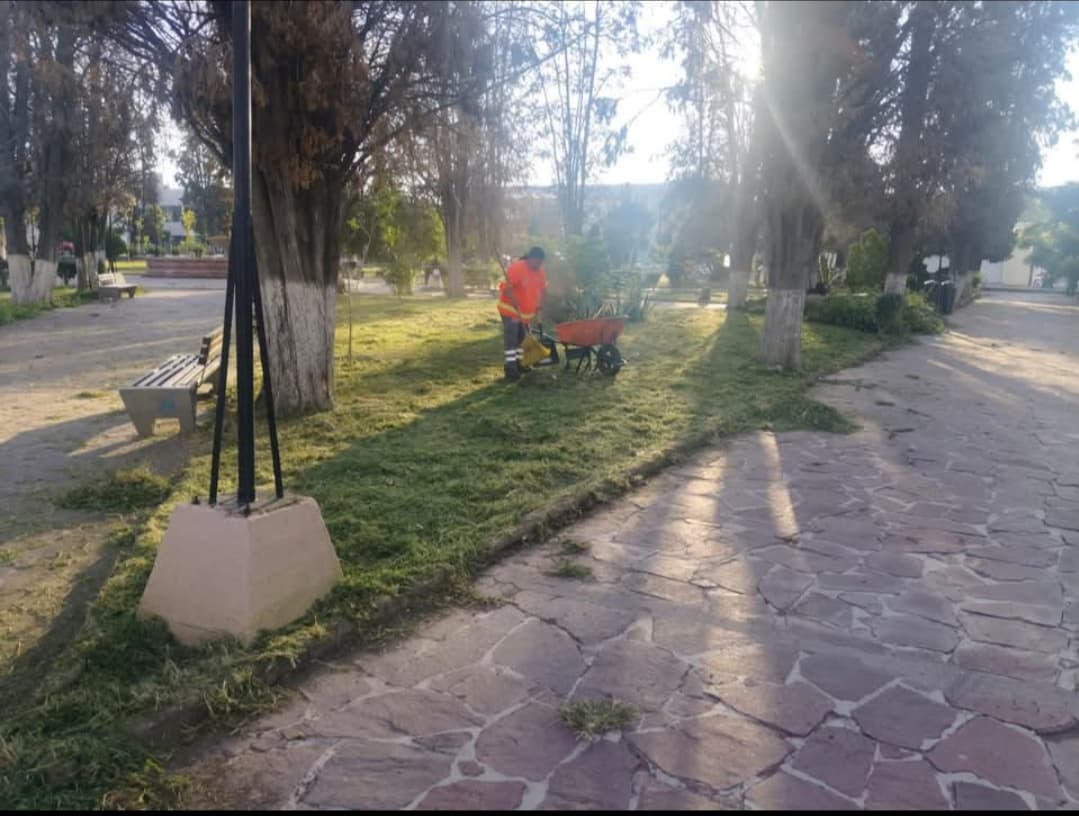 Dan manita de gato al Jardín Ruiz de Alarcón
