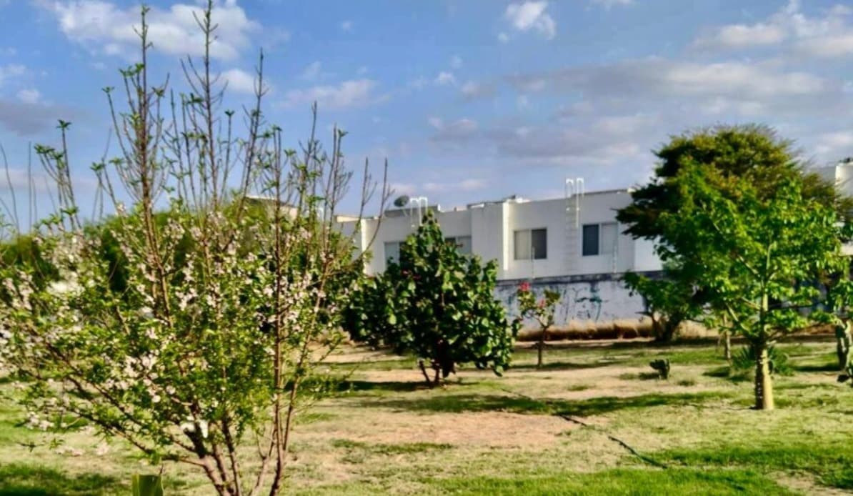 Construirán parque y área verde en Puerta de Piedra