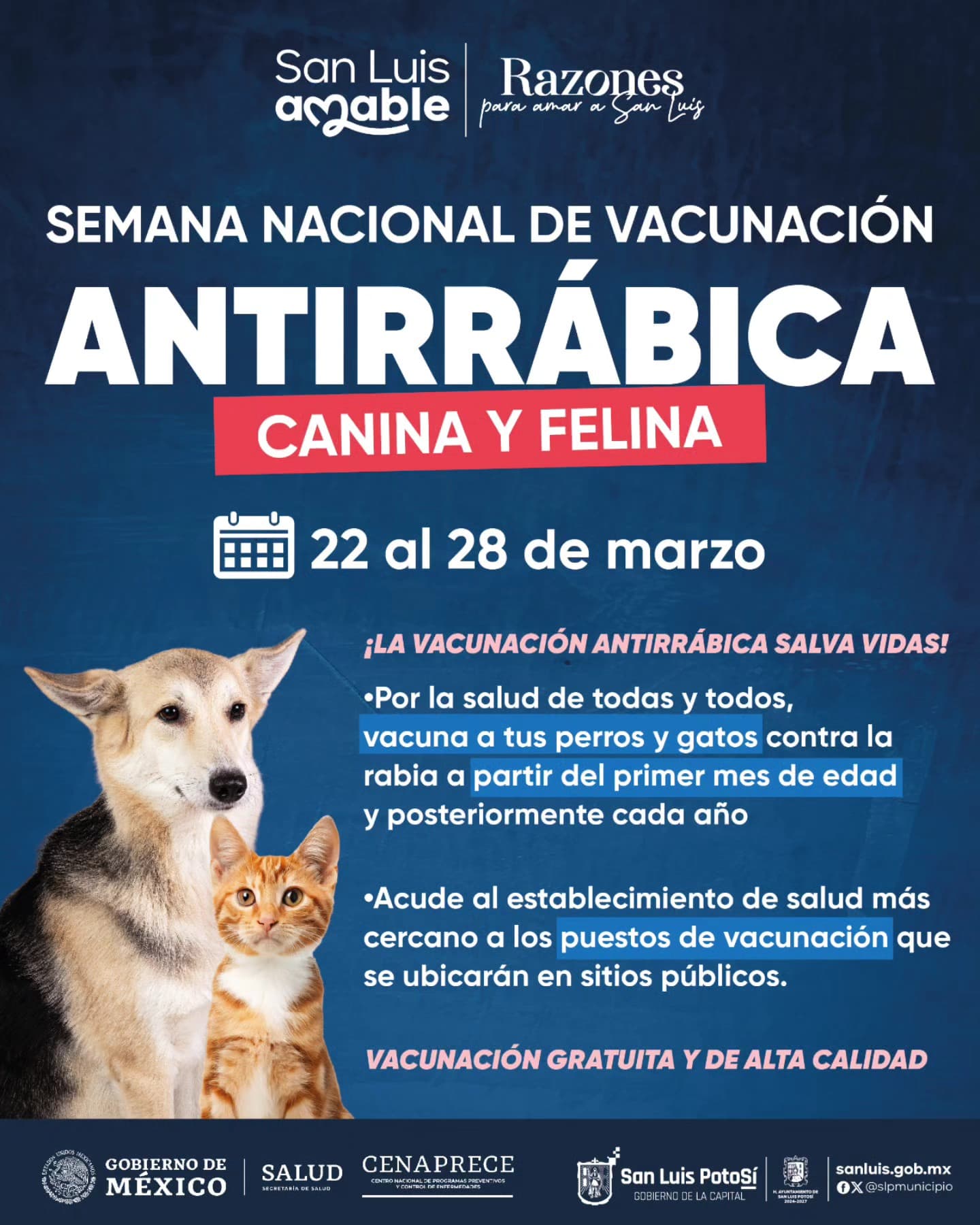Anuncian Semana de Vacunación Antirrábica en la Capital