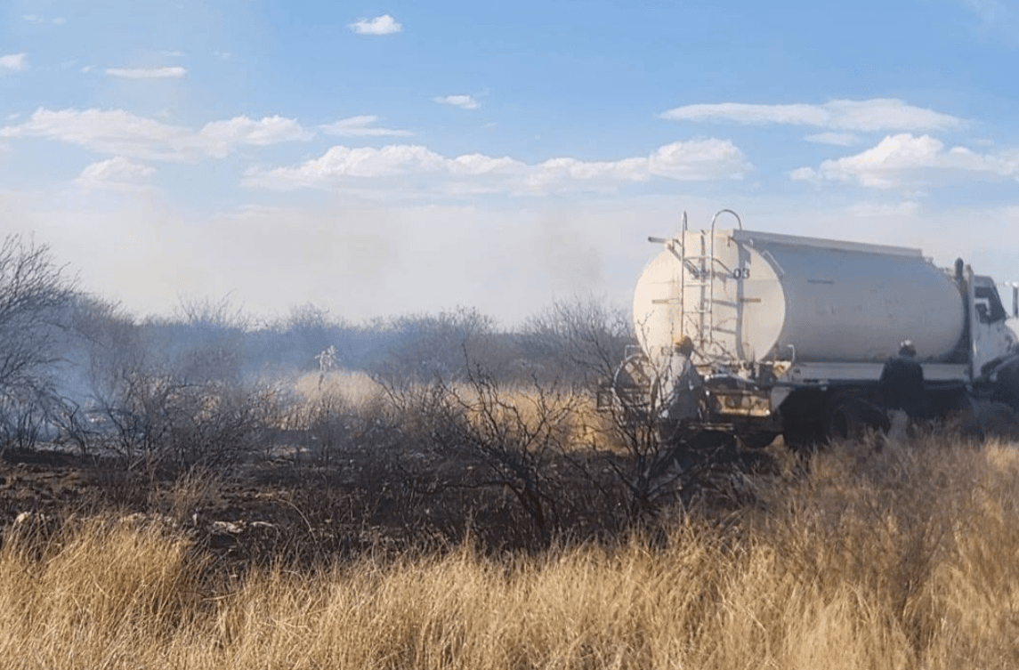 Consumen incendios forestales más de mil 500 hectáreas en Salinas