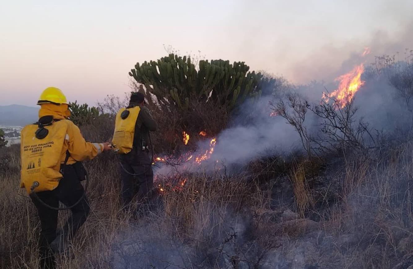 Ubican a la entidad como primer lugar en incendios forestales