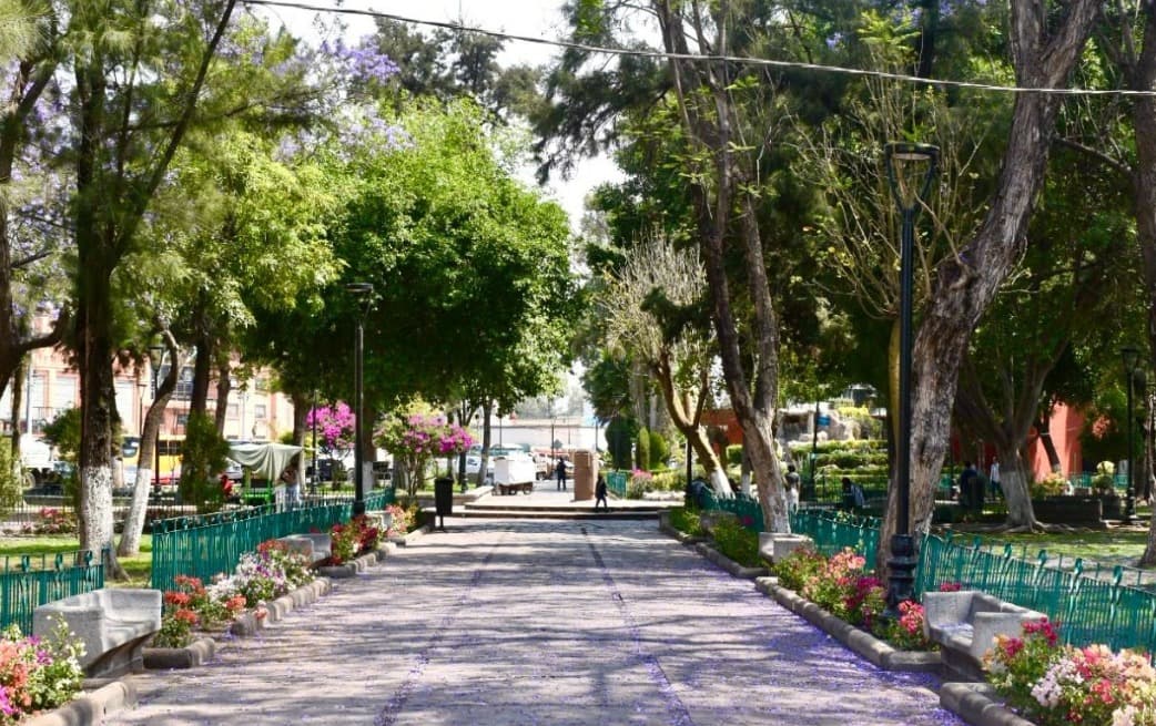 Dan atención a presencia de indigentes en la Alameda