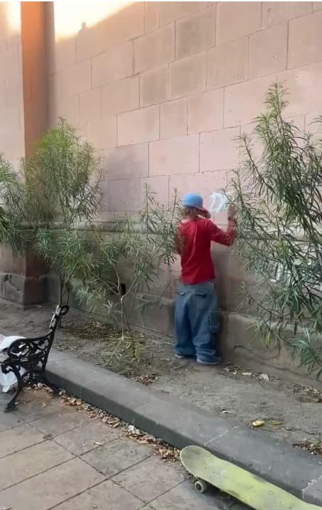 Trabajo comunitario para quienes vandalicen espacios públicos