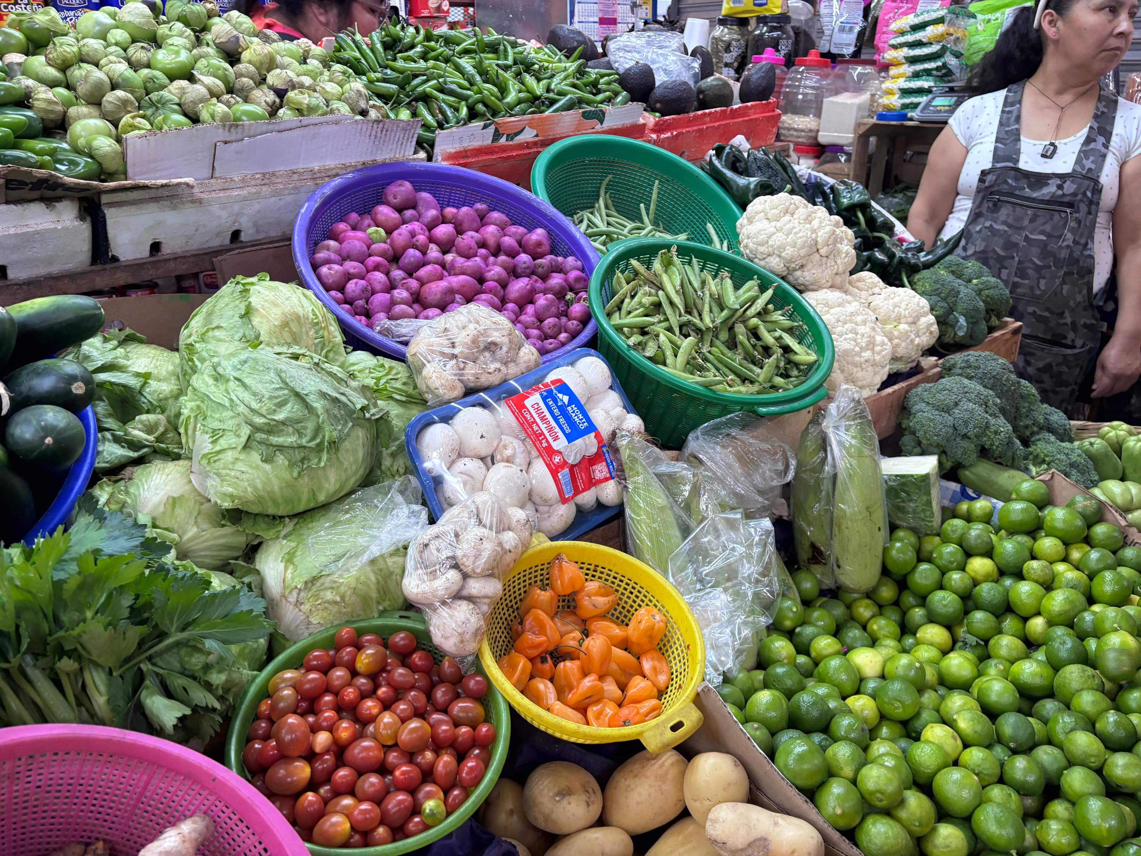 ¡Verduras por las nubes! Encarecimientos afectan canasta básica