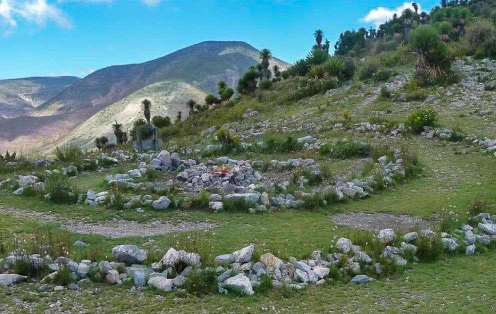 Anula Juzgado 44 concesiones mineras en Wirikuta