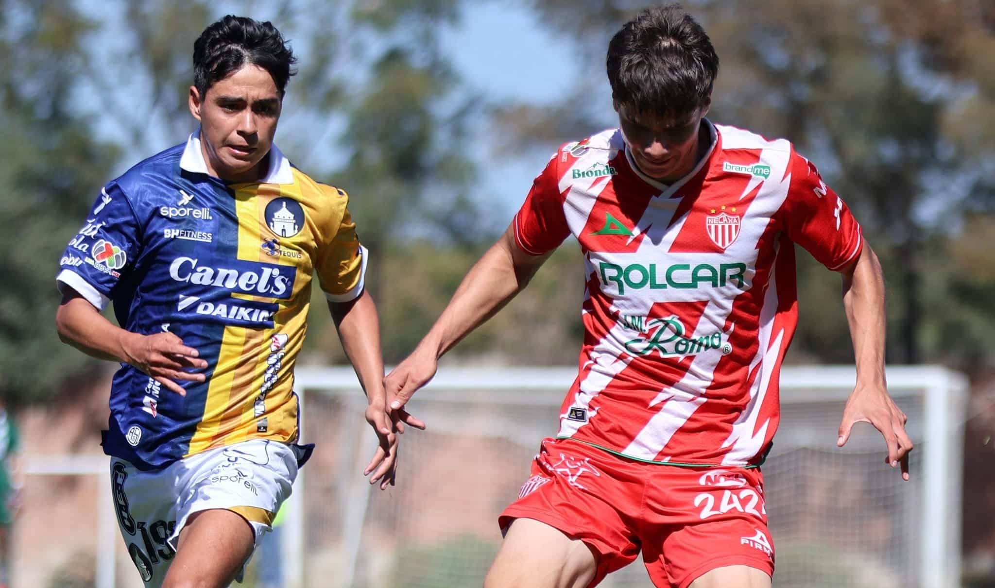 San Luis logra empate ante Necaxa en Apertura 2024