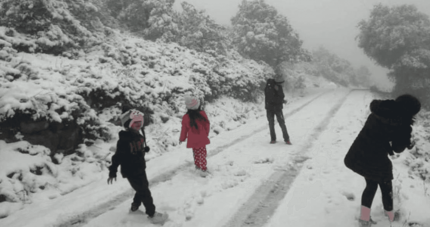 Frente Frío 20 traerá heladas y fuertes lluvias en varias regiones de México