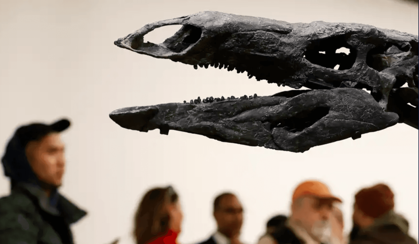 Un descubrimiento fósil reescribe el origen de los dinosaurios